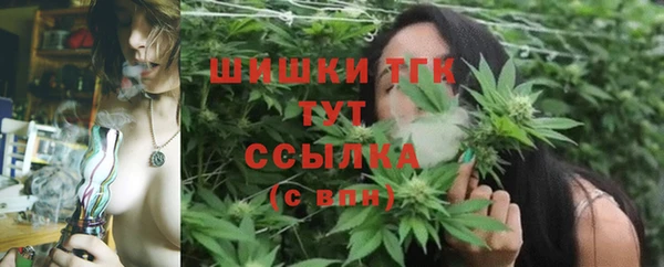 СК Протвино